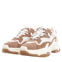 Ash Addict06 Fandango/Talc Low-Top-Sneaker